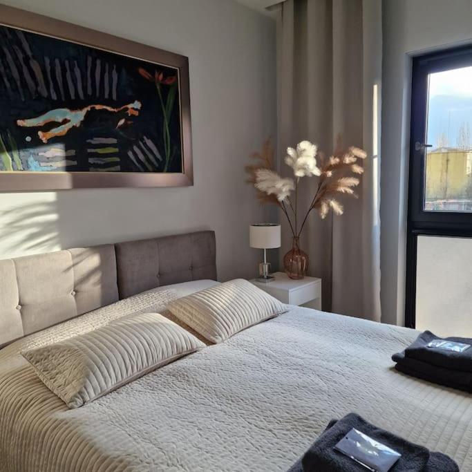 Apartament Nad Struga, Klimatyzacja, Parking,Taras Torun Exterior photo
